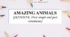 Презентація на тему "Amazing animals?" (grammar - past simple and past continuous) 6 кл НУШ