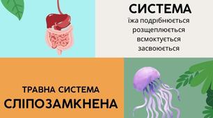 Інфографіка до теми "Живлення живих організмів"