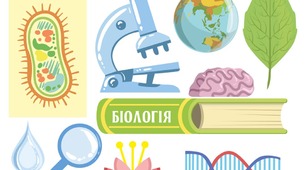 Нервова система