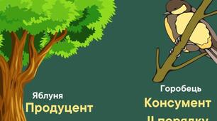 Інфографіка до розділу "Пізнаємо взаємозв'язки в природі"