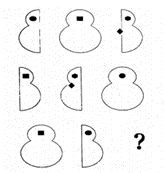 06010ibc-c9e0-278x290.png