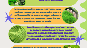 Робочий лист "Різноманітність рослин у природі"
