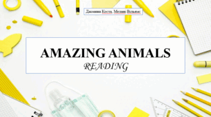 Презентація на тему "Amazing animals?" (reading) 6 кл НУШ