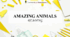 Презентація на тему "Amazing animals?" (reading) 6 кл НУШ
