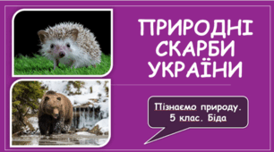 Презентація до уроку на тему "Природні скарби України"