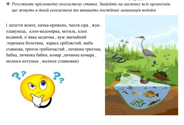 06010oc3-3619-722x490.png