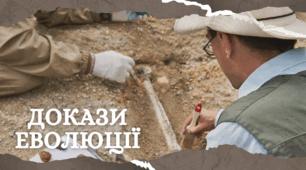 Презентація на тему "Докази еволюції. Палеонтологія"
