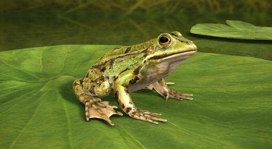 06010s7j-cb4c-940x515.jpg