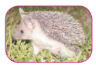 06010uyg-f79f-137x97.png
