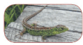 06010uyy-5f98-140x75.png