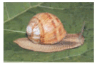 06010uze-55ea-148x93.png