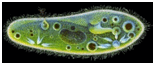 06010xti-ea56-285x120.png