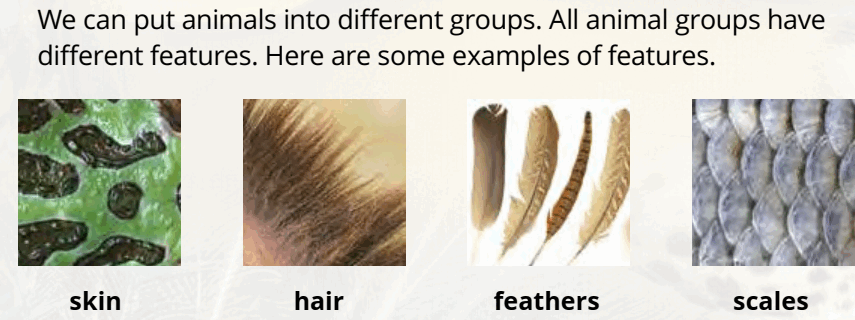 06010zey-ed65-855x320.png