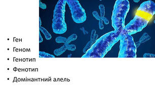 Контрольна робота (березень) 10-А,В клас