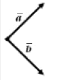 0601118z-2646-192x274.png