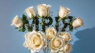 Взаємозв’язки організмів між собою та неживою природою в різних угрупованнях