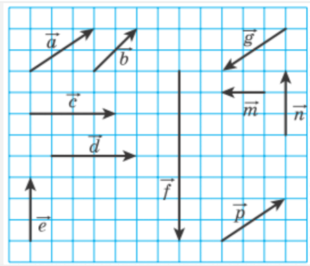 060111b6-d312-567x487.png