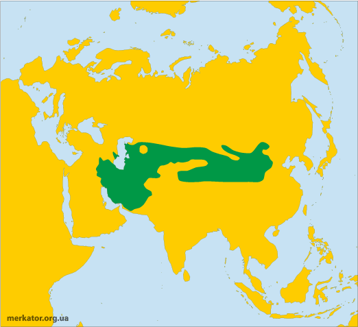 060113h7-b960-522x477.png