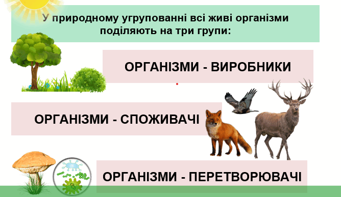 060115k8-3d82-668x387.png