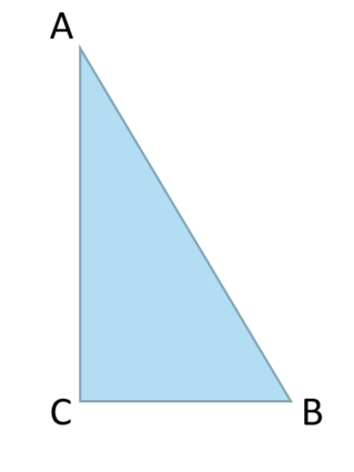 060116ai-eee3-457x611.png