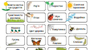 Весняний квест "Спіймай весну!" (Scavenger Hunt)