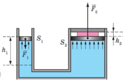 060116ng-ad46-243x157.png