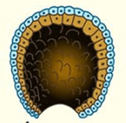 060118ji-5416-182x178.png