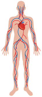 06011a23-697b-145x332.png