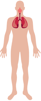 06011a2b-a7cb-135x330.png