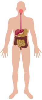 06011a2g-c2fb-139x332.png