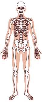 06011a2n-ee42-138x333.png