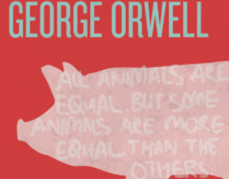06011a7l-8169-209x163.png