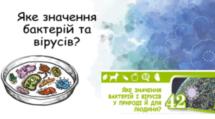 Яке значення бактерій і віруси  у природі й для людини.