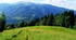 Українські Карпати