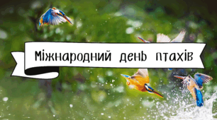 1 квітня - Міжнародний день птахів