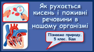Як рухається кисень і поживні речовини в нашому організмі