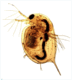06011e8y-9d2a-72x80.png