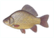 06011e9z-0783-78x55.png