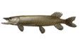 06011ea9-30c8-113x59.png