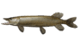 06011eac-a7cd-90x47.png