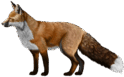 06011ec8-13a0-124x77.png