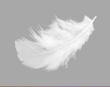 06011ef0-1a89-110x87.png