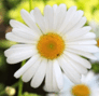 06011ef7-9976-92x89.png