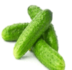 06011ef9-3e08-105x102.png