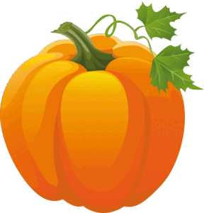 06011eo7-94f8-288x300.png