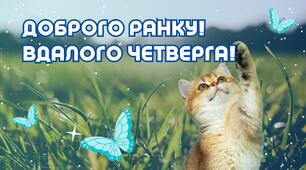17.03 9 клас алгебра 