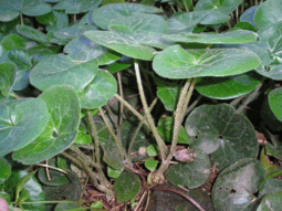 06011f99-752c-255x191.png