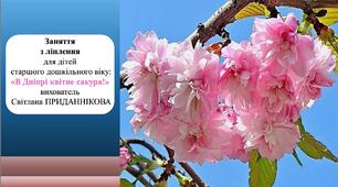 Інтегроване заняття ( ознайомлення з природним довкіллям+ліплення) для дітей старшого дошкільного віку: "В Дніпрі квітне сакура""