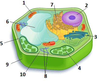 06011gmh-a9a6-410x337.png