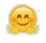 06011grs-e28c-43x40.png